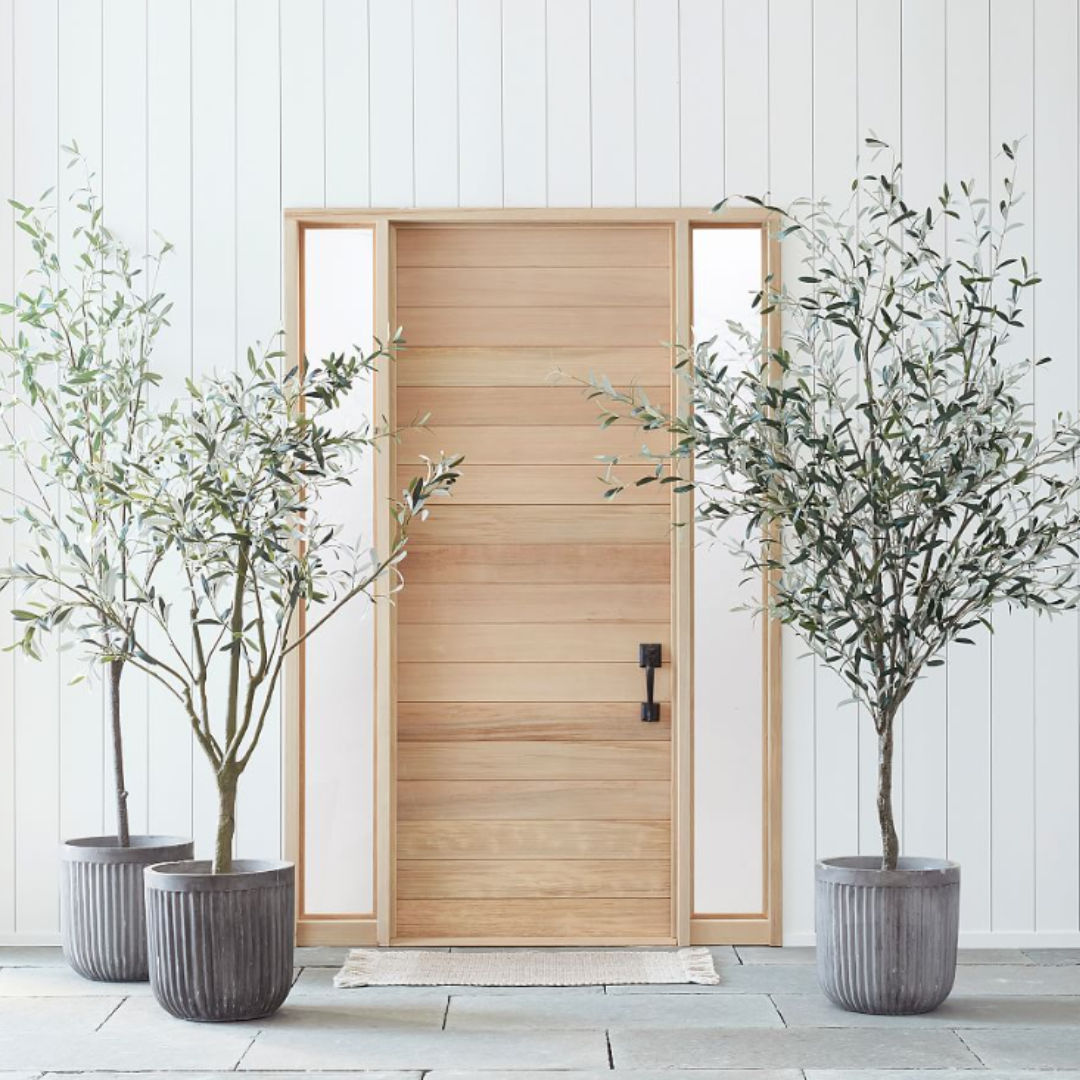 Изкуствено маслиново дърво в буркана