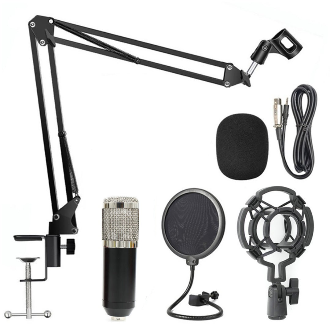 Професионален микрофон с допълнително оборудване