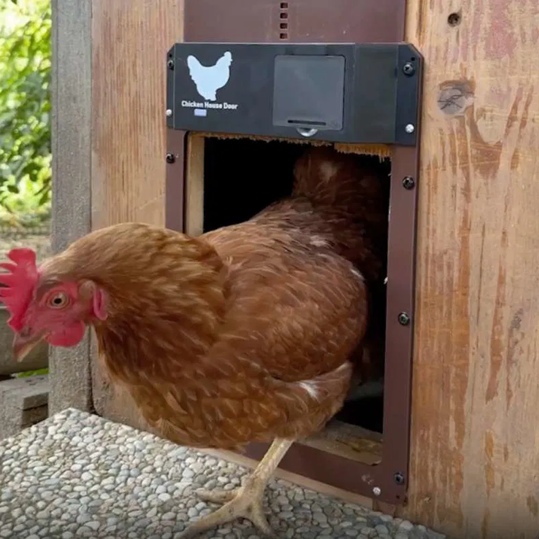 Автоматична врата за кокошарник