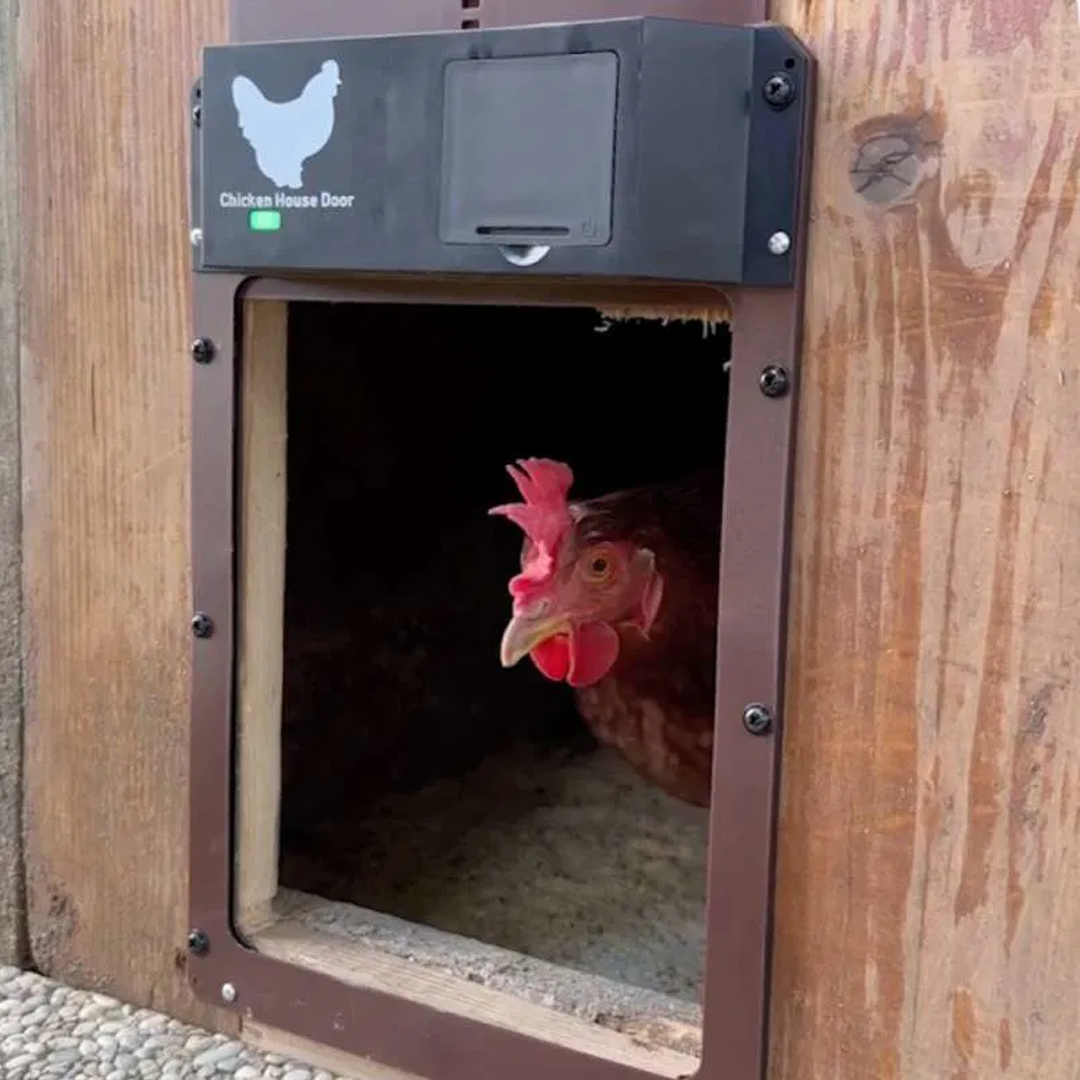 Автоматична врата за кокошарник