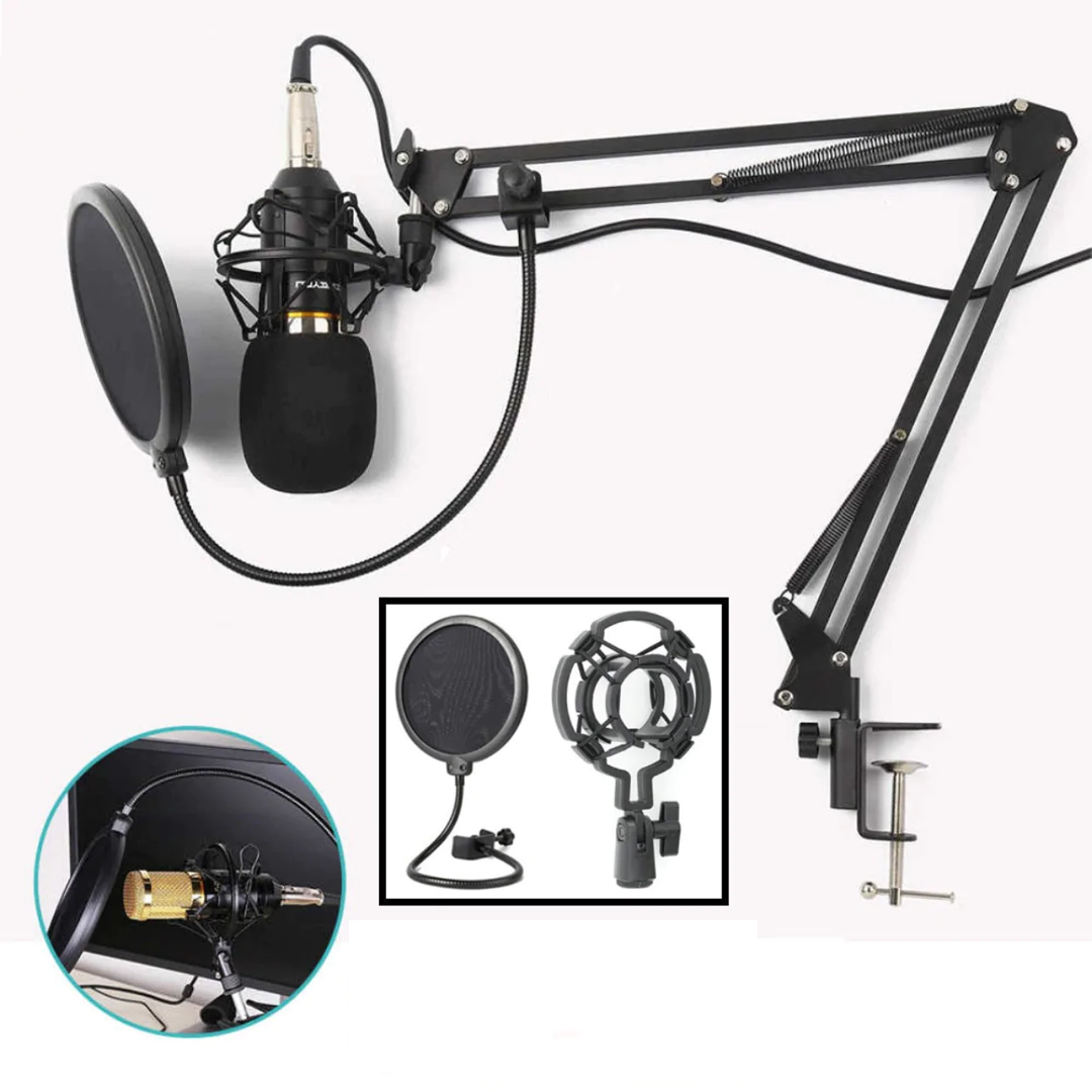 Професионален микрофон с допълнително оборудване
