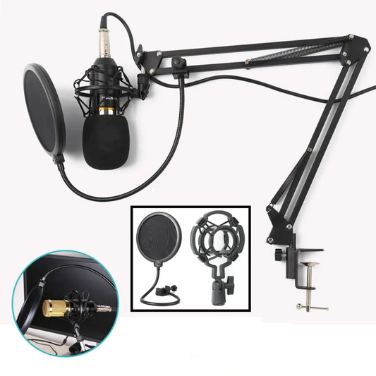 Професионален микрофон с допълнително оборудване